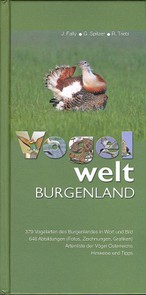 Infoseiten
