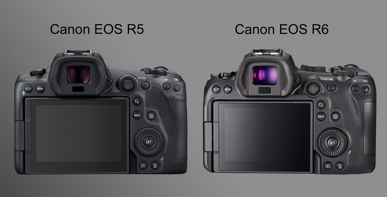 Canon EOS R-System