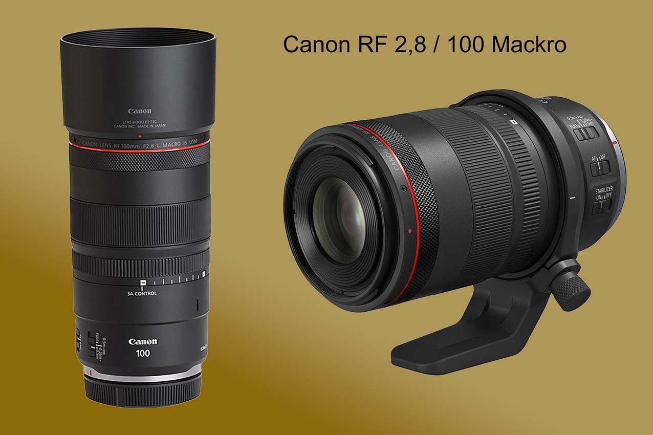 Canon EOS R-System