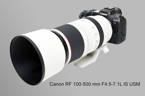 Canon EOS R-System