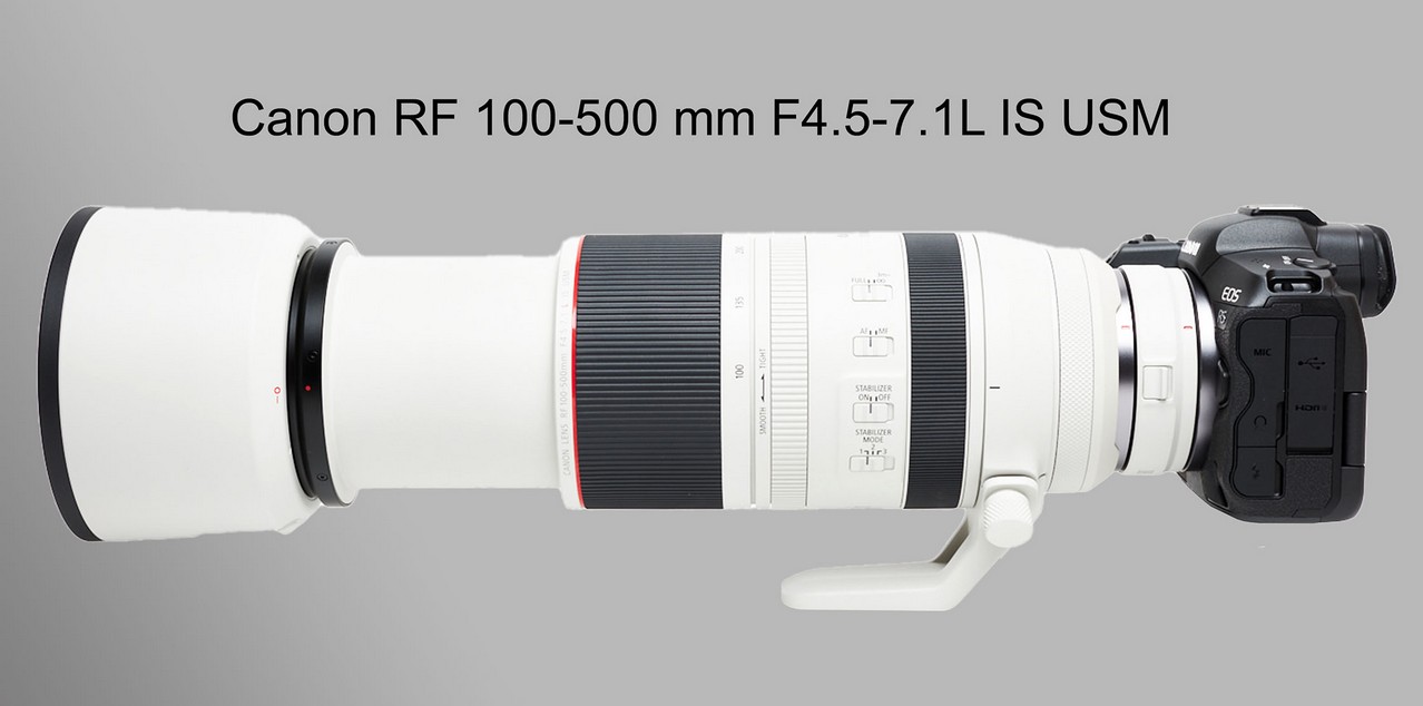 Canon EOS R-System