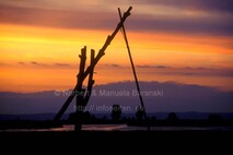 Frühling am Neusiedlersee