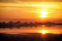 Herbst am Neusiedlersee