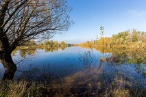 Herbst am Neusiedlersee