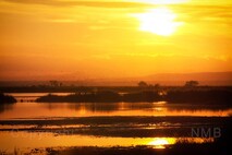 Herbst am Neusiedlersee
