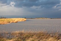 Herbst am Neusiedlersee