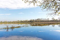 Herbst am Neusiedlersee