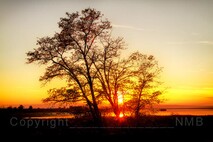 Herbst am Neusiedlersee