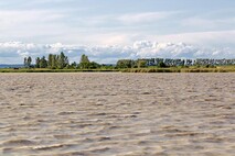 Herbst am Neusiedlersee