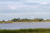 Herbst am Neusiedlersee