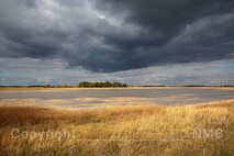 Herbst am Neusiedlersee