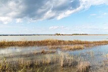 Herbst am Neusiedlersee