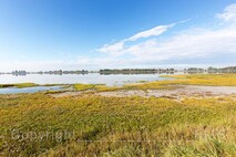 Herbst am Neusiedlersee