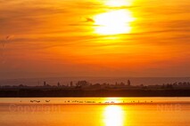 Herbst am Neusiedlersee
