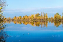 Herbst am Neusiedlersee