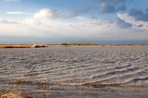 Herbst am Neusiedlersee