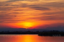 Herbst am Neusiedlersee