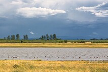 Herbst am Neusiedlersee