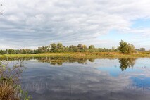 Herbst am Neusiedlersee
