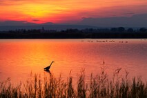 Herbst am Neusiedlersee