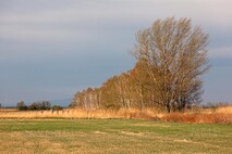 Herbst am Neusiedlersee