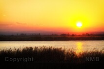Herbst am Neusiedlersee