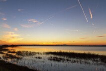 Herbst am Neusiedlersee