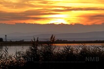 Herbst am Neusiedlersee