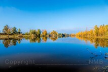 Herbst am Neusiedlersee