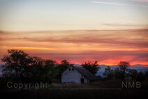 Herbst am Neusiedlersee
