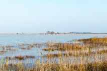 Herbst am Neusiedlersee