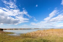 Herbst am Neusiedlersee