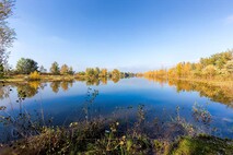 Herbst am Neusiedlersee