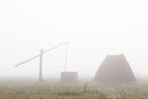 Herbst am Neusiedlersee