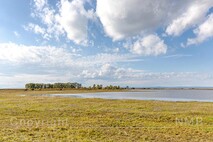 Herbst am Neusiedlersee