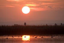 Herbst am Neusiedlersee