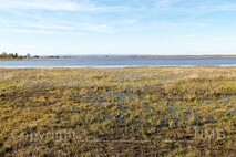 Herbst am Neusiedlersee