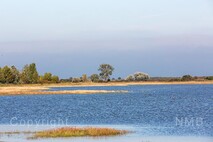 Herbst am Neusiedlersee