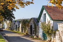 Herbst am Neusiedlersee