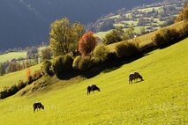 Osttirol