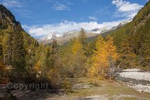 Osttirol