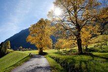 Licht in der Fotografie