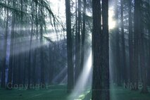 Licht in der Fotografie