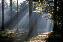Licht in der Fotografie