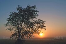 Licht in der Fotografie