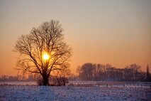 Licht in der Fotografie