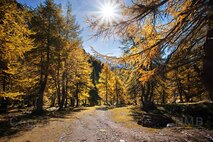 Licht in der Fotografie