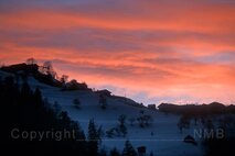 Licht in der Fotografie