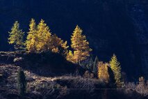Licht in der Fotografie