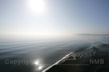Nebel